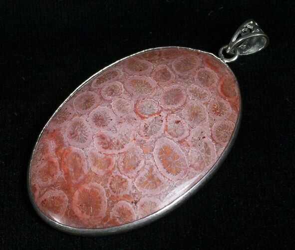 Large Fossil Coral Pendant #5173